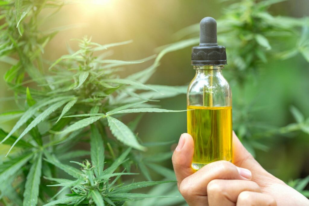 What are the Best THC-B TINCTURES